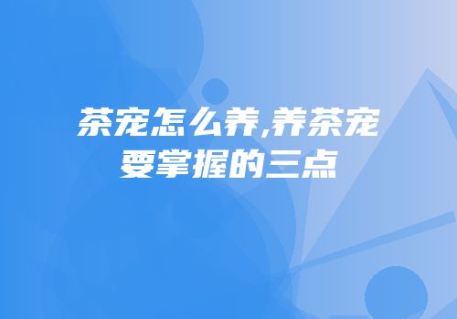 茶宠怎么养,养茶宠要掌握的三点