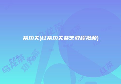 茶功夫(红茶功夫茶艺教程视频)