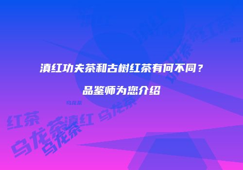 滇红功夫茶和古树红茶有何不同？品鉴师为您介绍