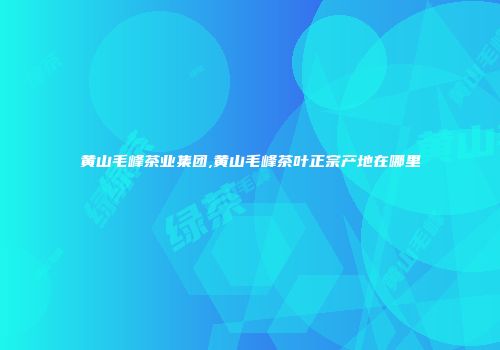 黄山毛峰茶业集团,黄山毛峰茶叶正宗产地在哪里