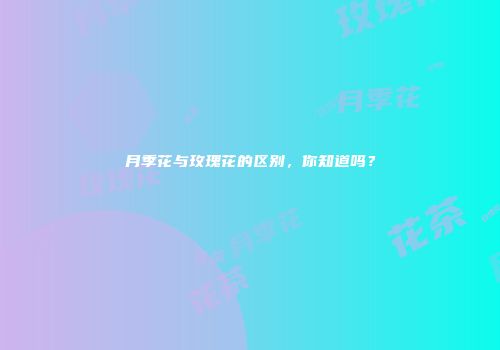 月季花与玫瑰花的区别，你知道吗？