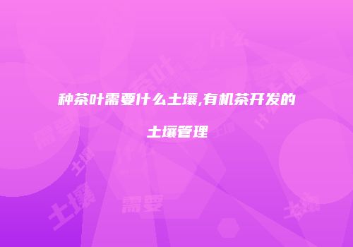 种茶叶需要什么土壤,有机茶开发的土壤管理