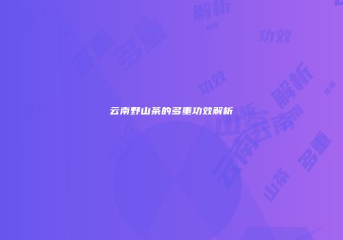云南野山茶的多重功效解析