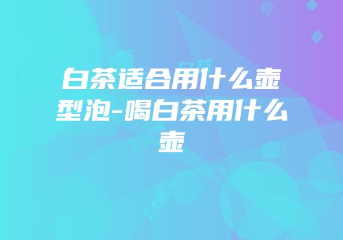 白茶适合用什么壶型泡-喝白茶用什么壶