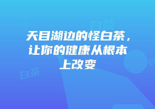 天目湖边的怪白茶，让你的健康从根本上改变