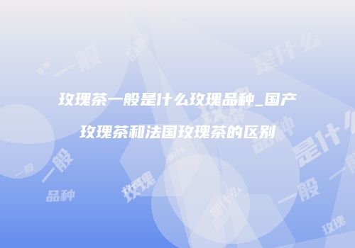 玫瑰茶一般是什么玫瑰品种_国产玫瑰茶和法国玫瑰茶的区别