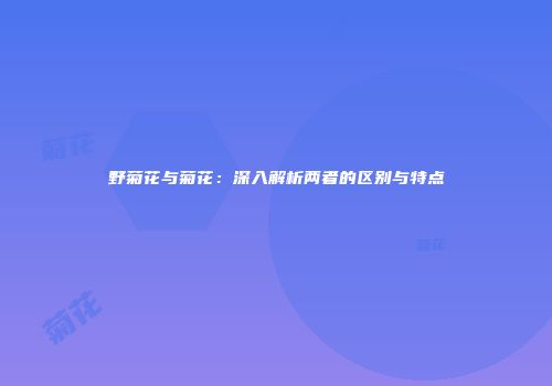 野菊花与菊花：深入解析两者的区别与特点