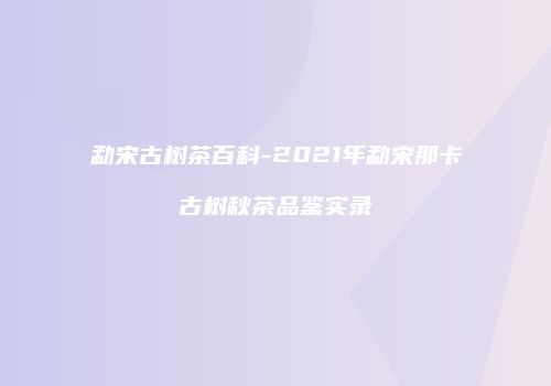 勐宋古树茶百科-2021年勐宋那卡古树秋茶品鉴实录