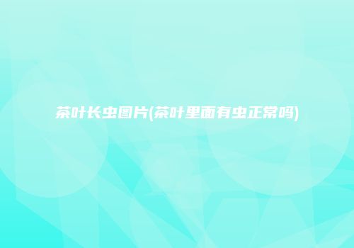 茶叶长虫图片(茶叶里面有虫正常吗)
