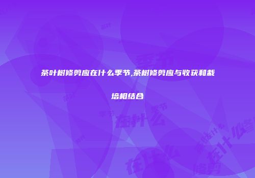 茶叶树修剪应在什么季节,茶树修剪应与收获和栽培相结合