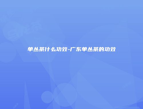 单丛茶什么功效-广东单丛茶的功效