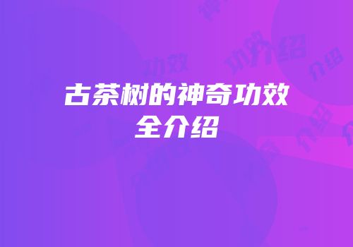 古茶树的神奇功效全介绍