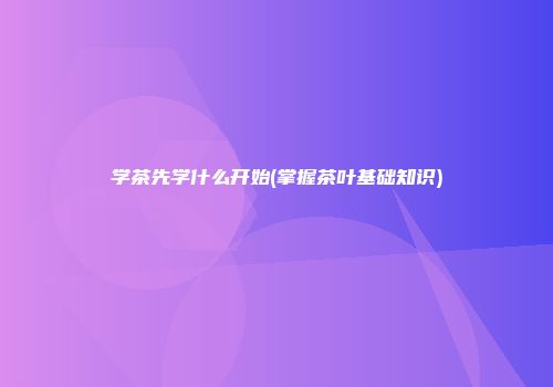 学茶先学什么开始(掌握茶叶基础知识)