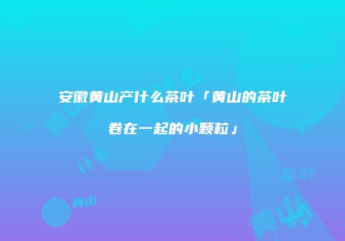 安徽黄山产什么茶叶「黄山的茶叶卷在一起的小颗粒」
