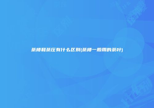 茶楼和茶庄有什么区别(茶楼一般用的茶叶)
