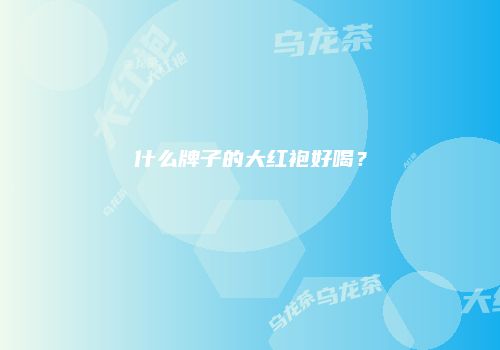什么牌子的大红袍好喝？