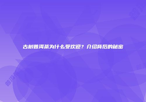 古树普洱茶为什么受欢迎？介绍背后的秘密