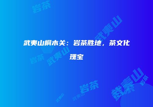 武夷山桐木关：岩茶胜地，茶文化瑰宝