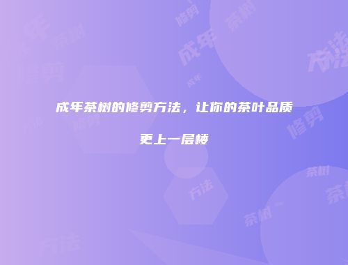 成年茶树的修剪方法，让你的茶叶品质更上一层楼