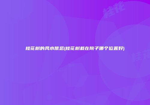 桂花树的风水禁忌(桂花树栽在院子哪个位置好)
