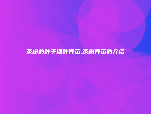 茶树的种子播种育苗,茶树育苗的介绍