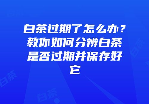 白茶过期了怎么办？教你如何分辨白茶是否过期并保存好它