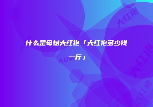 什么是母树大红袍「大红袍多少钱一斤」