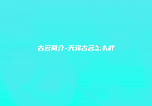 古茗简介-天驿古茗怎么样