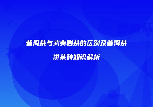普洱茶与武夷岩茶的区别及普洱茶饼茶砖知识解析