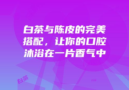 白茶与陈皮的完美搭配，让你的口腔沐浴在一片香气中