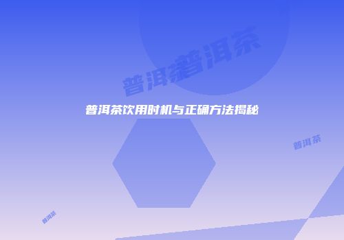 普洱茶饮用时机与正确方法揭秘