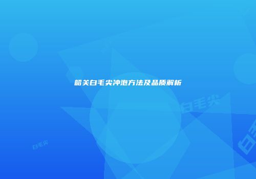 韶关白毛尖冲泡方法及品质解析