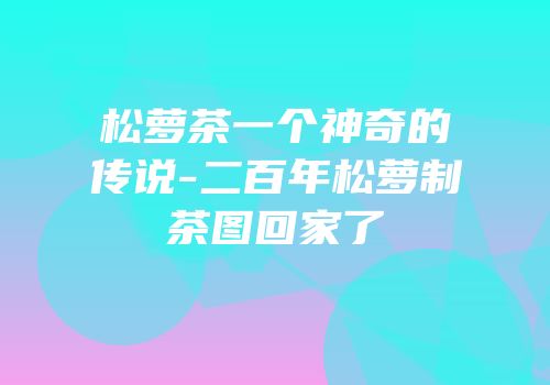 松萝茶一个神奇的传说-二百年松萝制茶图回家了