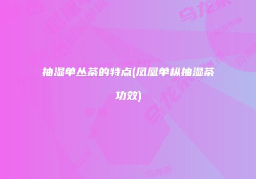 抽湿单丛茶的特点(凤凰单枞抽湿茶功效)