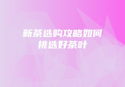 新茶选购攻略如何挑选好茶叶