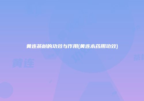 黄连茶树的功效与作用(黄连木药用功效)