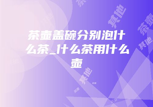 茶壶盖碗分别泡什么茶_什么茶用什么壶