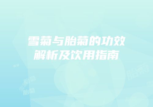 雪菊与胎菊的功效解析及饮用指南