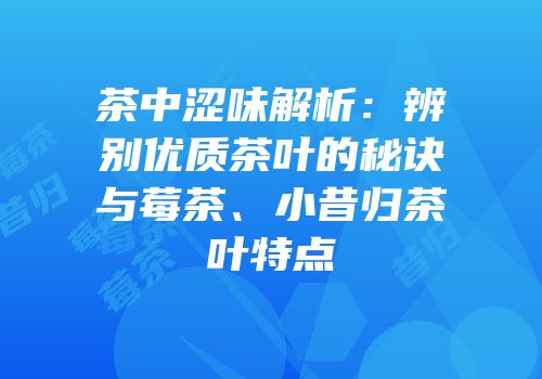 茶中涩味解析：辨别优质茶叶的秘诀与莓茶、小昔归茶叶特点