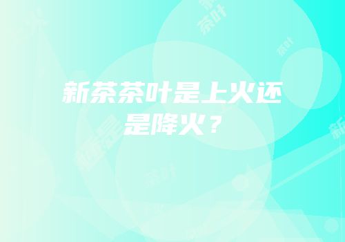 新茶茶叶是上火还是降火？
