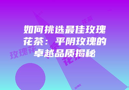 如何挑选最佳玫瑰花茶：平阴玫瑰的卓越品质揭秘