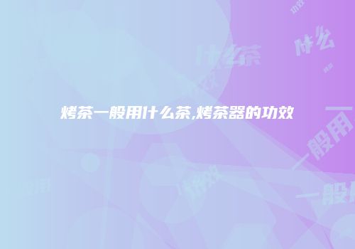 烤茶一般用什么茶,烤茶器的功效