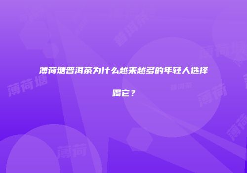 薄荷塘普洱茶为什么越来越多的年轻人选择喝它？