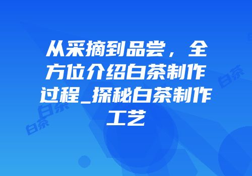 从采摘到品尝，全方位介绍白茶制作过程_探秘白茶制作工艺