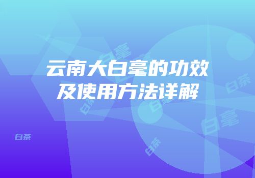 云南大白毫的功效及使用方法详解