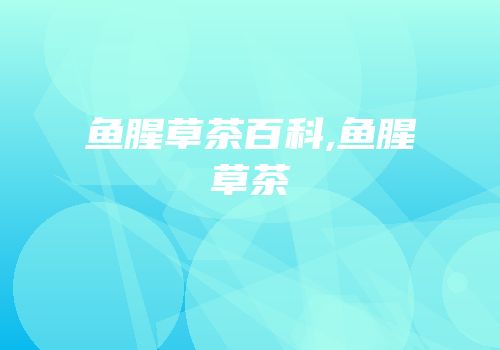 鱼腥草茶百科,鱼腥草茶