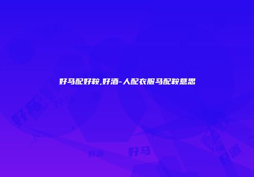 好马配好鞍,好酒-人配衣服马配鞍意思