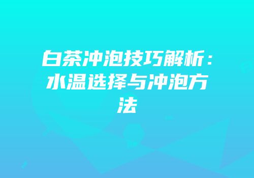 白茶冲泡技巧解析：水温选择与冲泡方法
