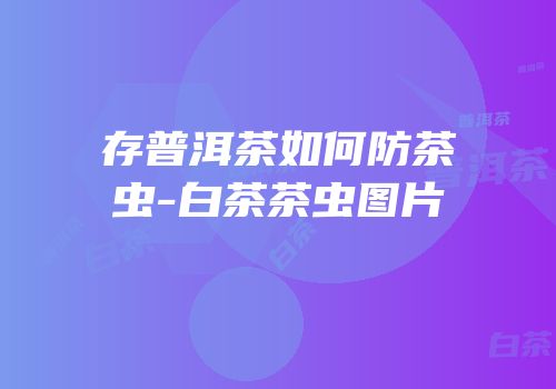 存普洱茶如何防茶虫-白茶茶虫图片