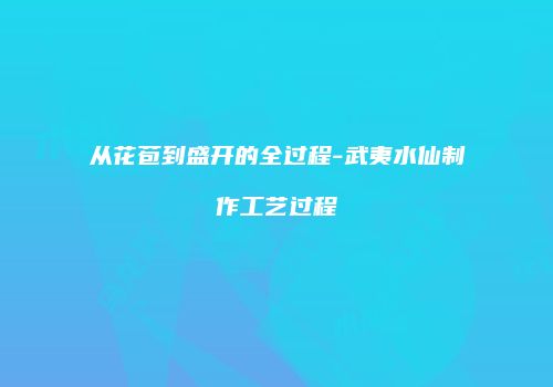 从花苞到盛开的全过程-武夷水仙制作工艺过程